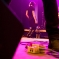 Sommerfestival_Rudi_385.jpg